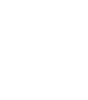 brain injury icon